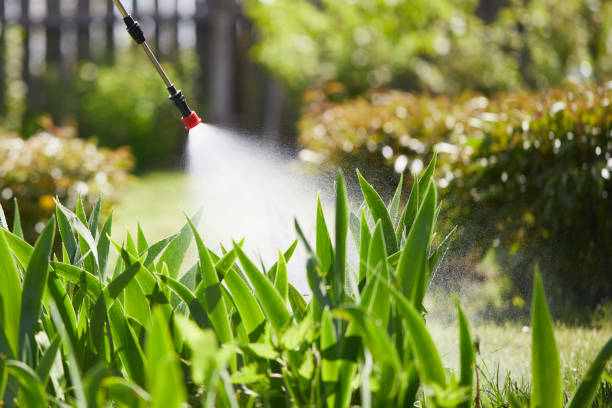 24/7 Emergency Termite Control experts in Georgetown, CO