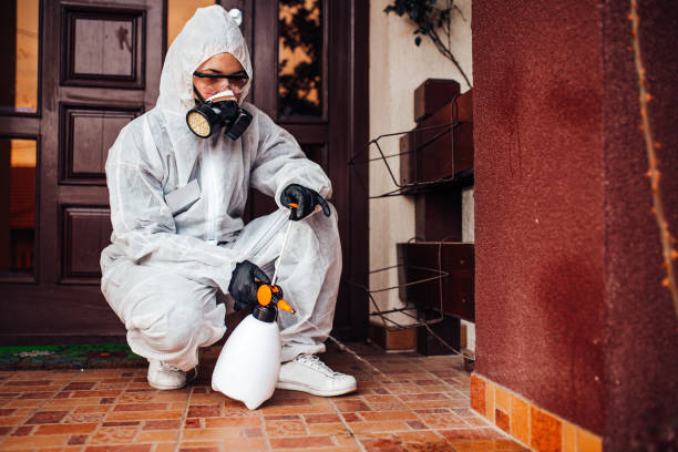 Reliable Termite Control contractor in Georgetown, CO by Nex Pest Control
