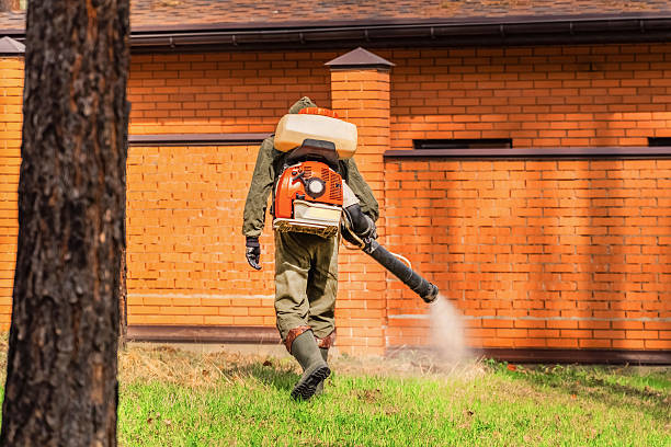 Top rated local Termite Control specialists in Georgetown, CO